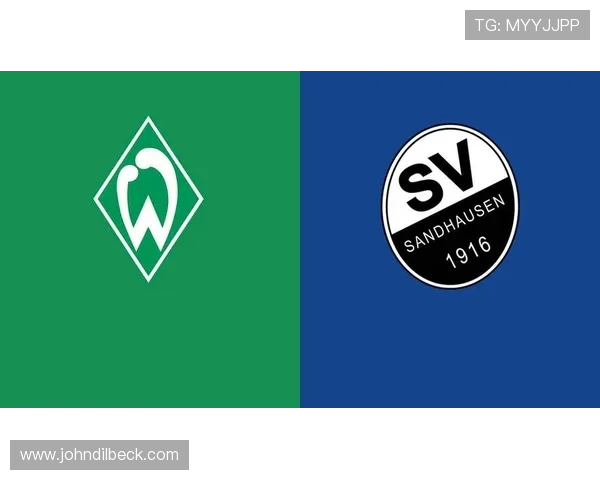 九游娱乐app不莱梅的赞助商对球队发展的影响与合作细节解析